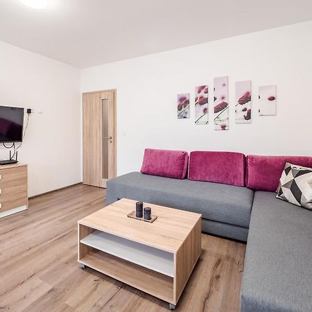 Private Luxury Apartments Frymburk Rum bild