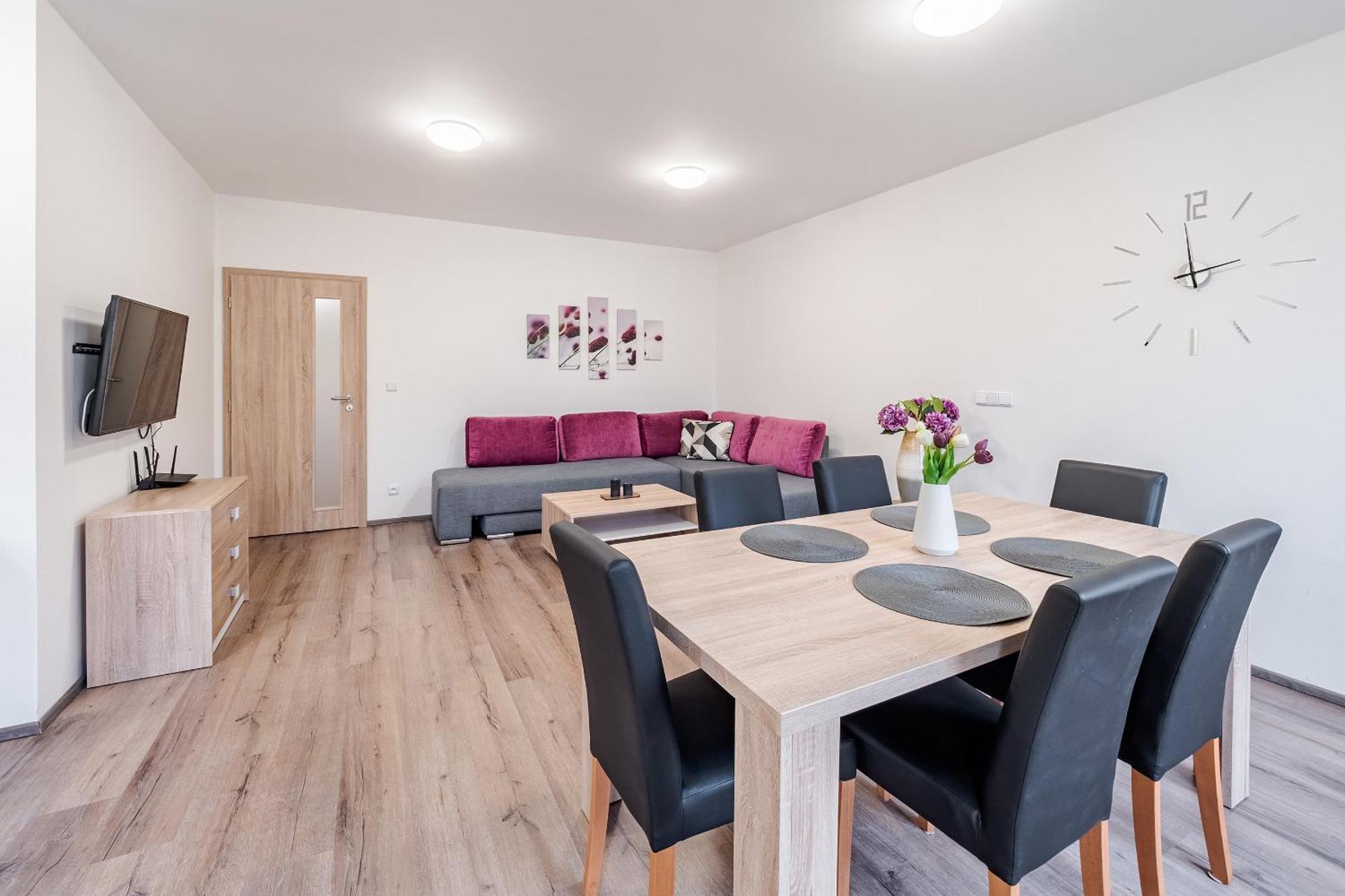 Private Luxury Apartments Frymburk Rum bild